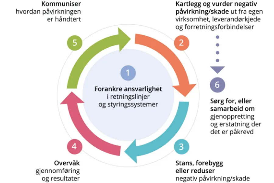modell som illustrerer aktsomhetsvurderingas seks trinn, fordelt på å forankre forsvarlighet, kartlegging og vurdere negativ påvirkning/skade, stans, forebygg eller reduser, overvåk, kommuniser og sørg for eller samarbeid.